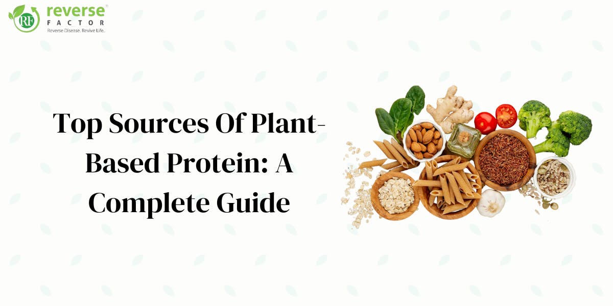 21 Top Sources of Plant-Based Protein: A Complete Guide - blog poster