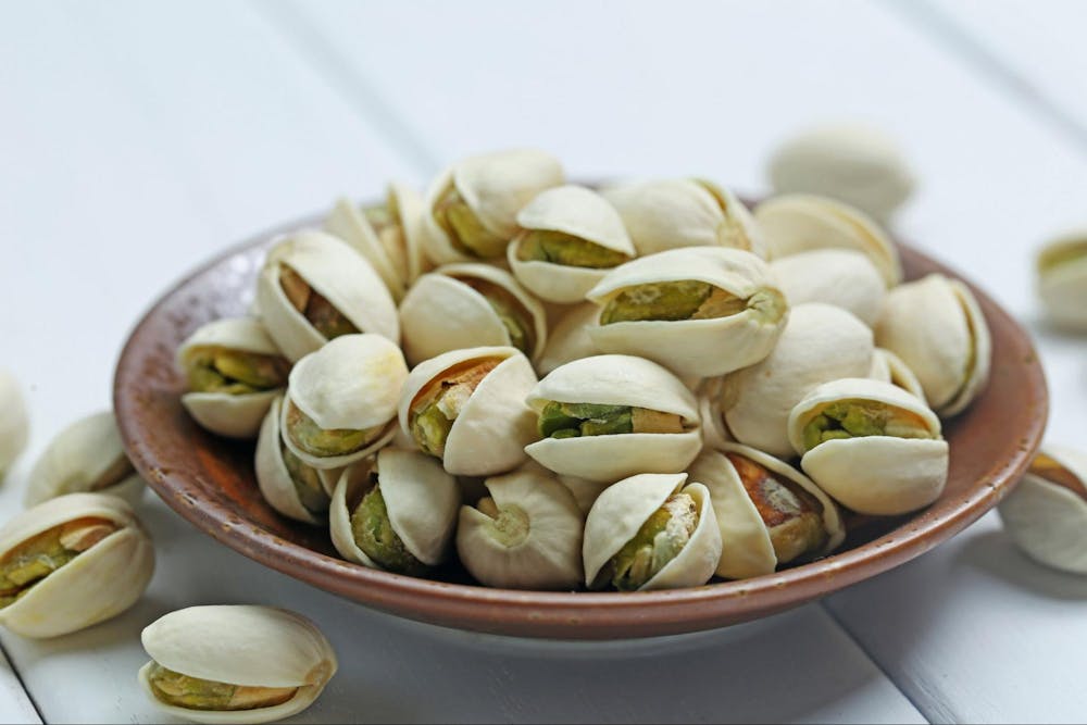 best plant based protein sources