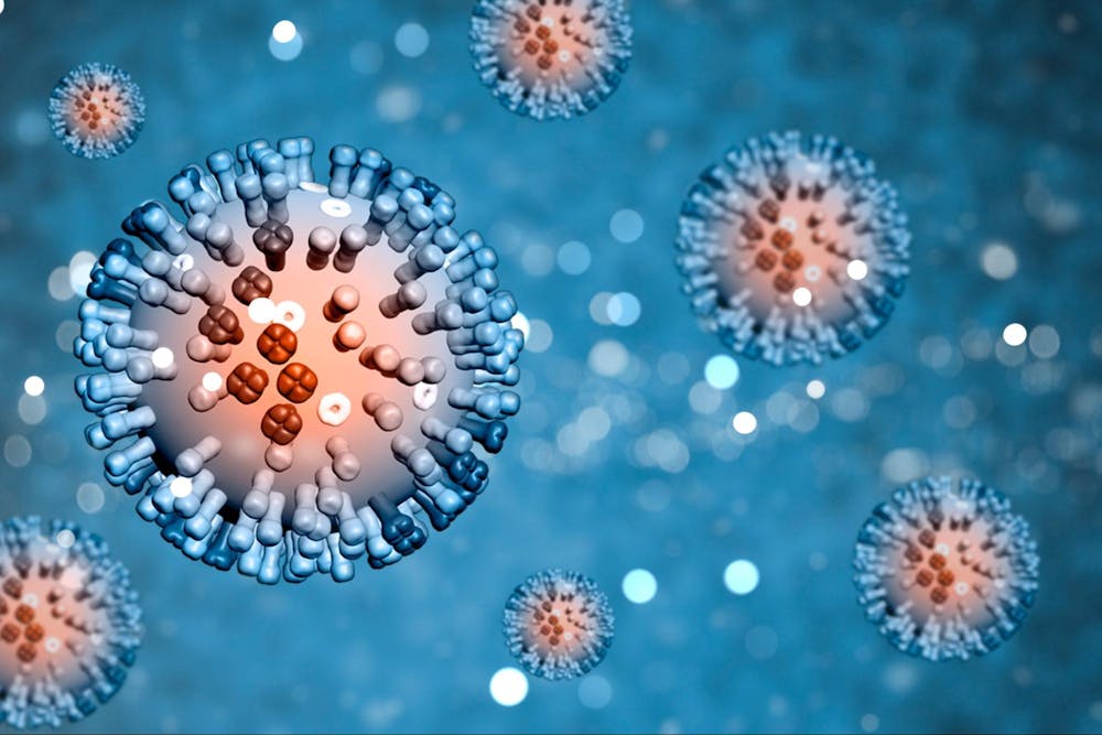 Gut Health and Fatty Liver Link