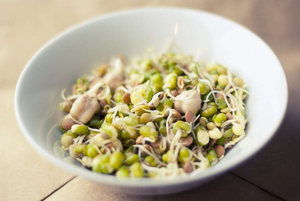 best plant based protein sources