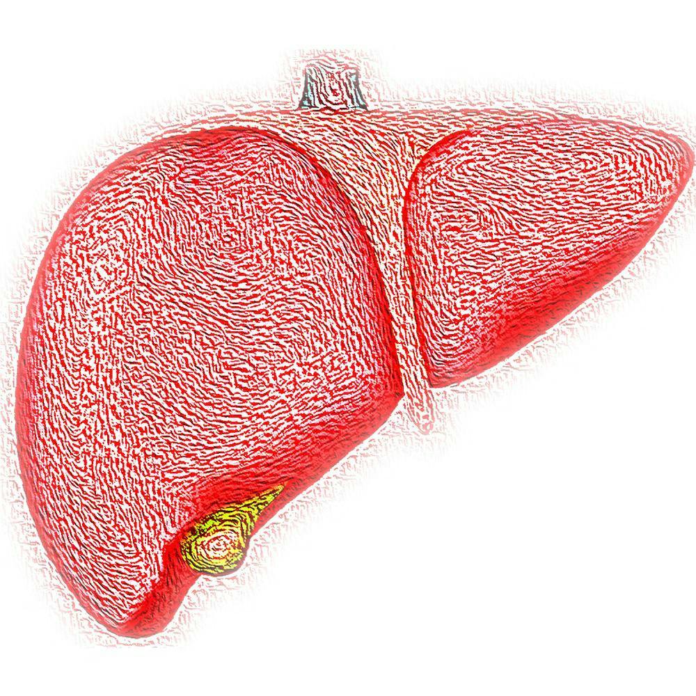 fatty liver disease reversal guide