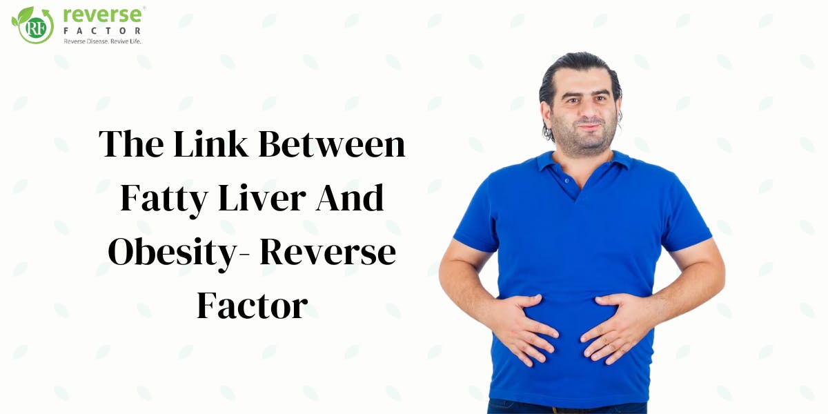 The Link between Fatty Liver and Obesity- Reverse Factor - blog poster