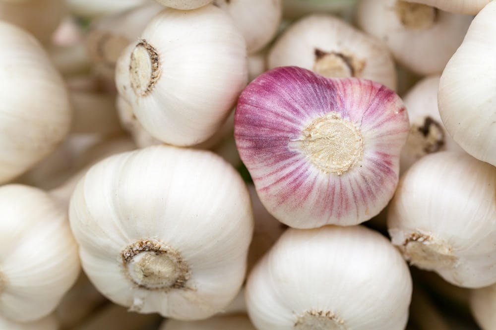 tips on healing gut health