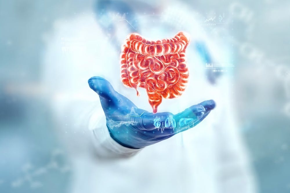 leaky gut diet
