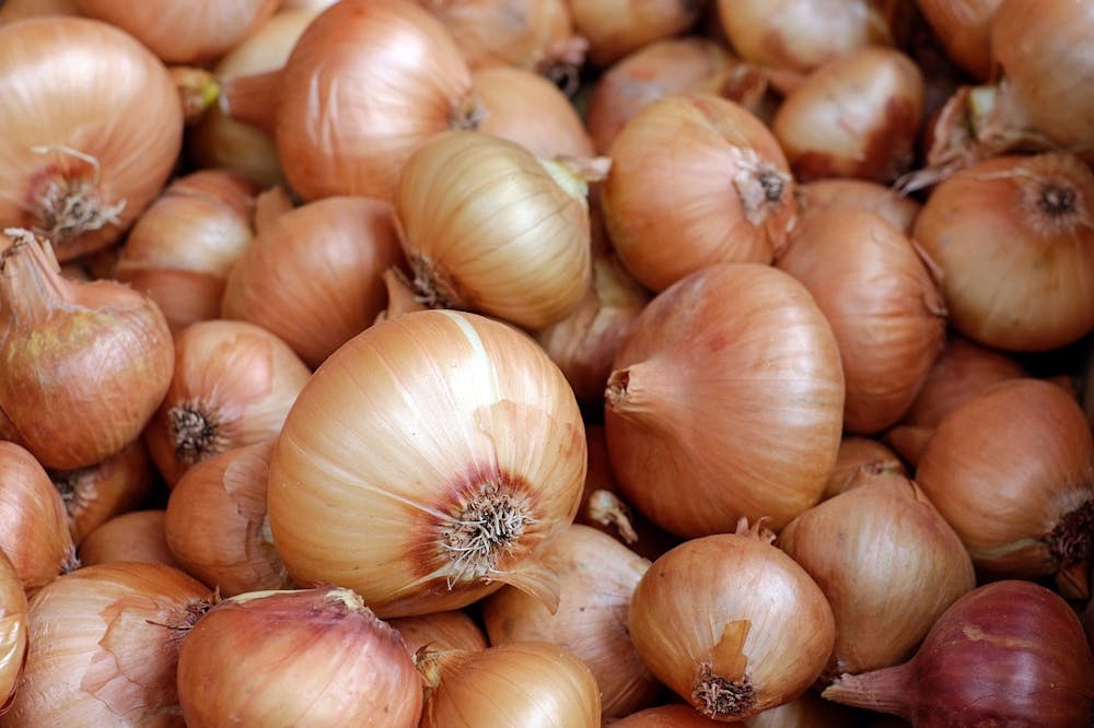 best foods for kidney health