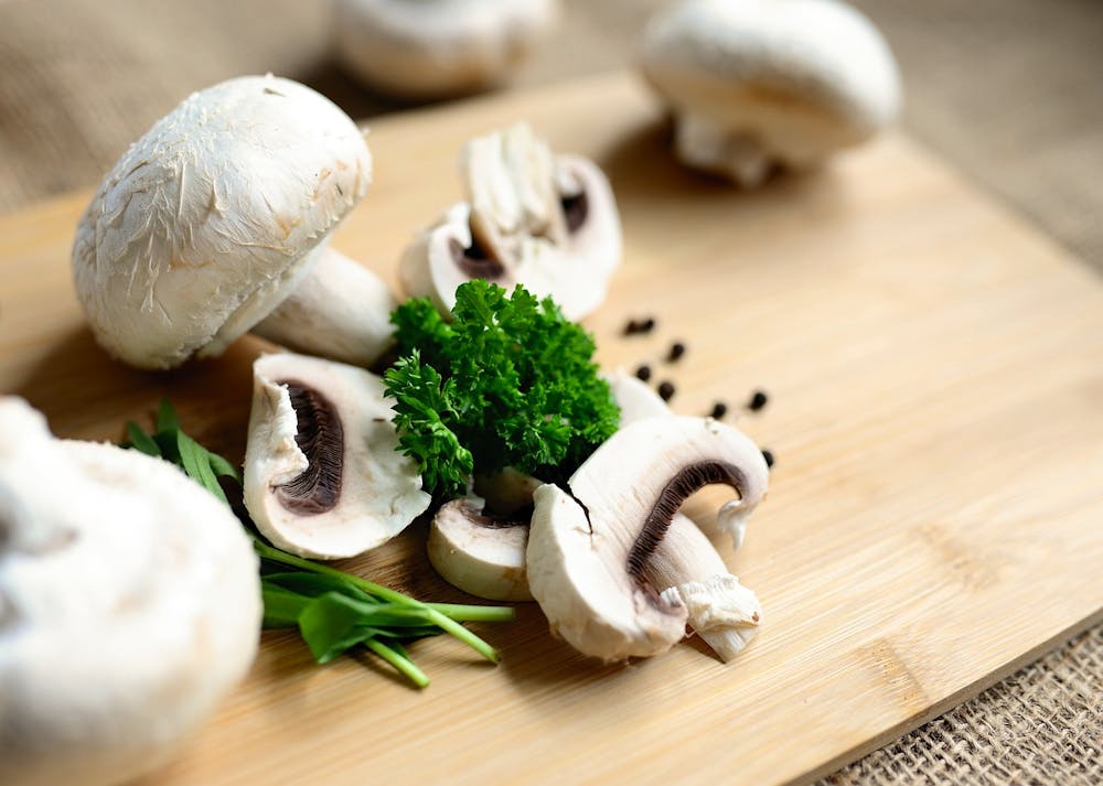 best plant based protein sources