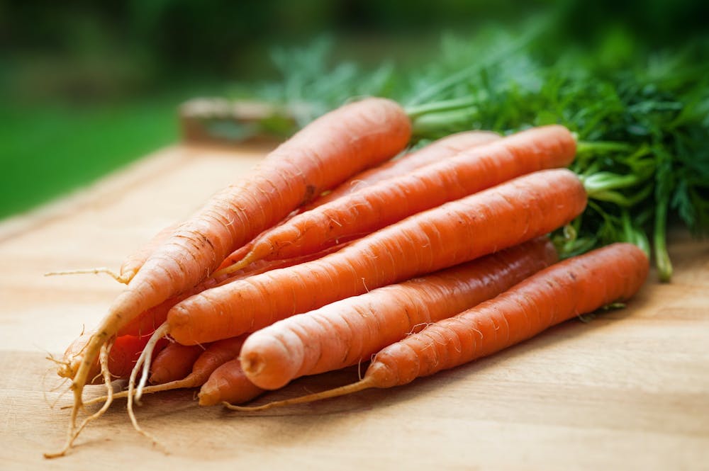 best foods that help fight cancer disease