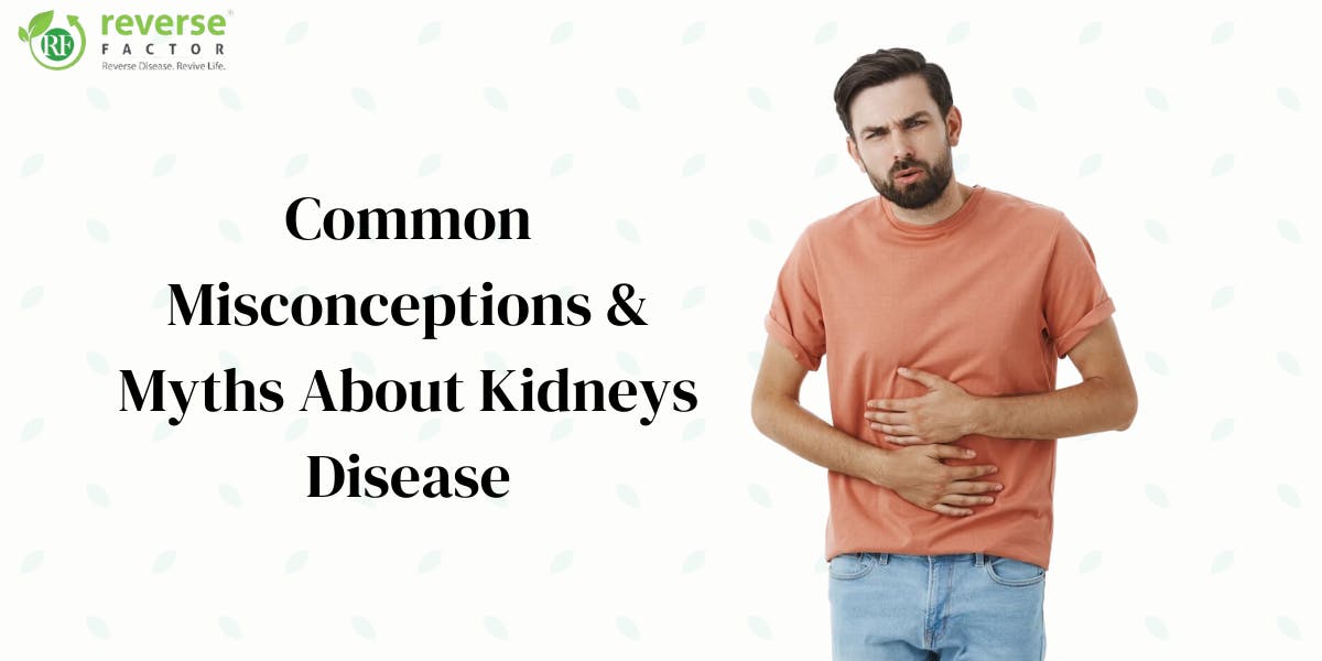13 Common Misconceptions And Myths About Kidneys Disease [2023] - blog poster