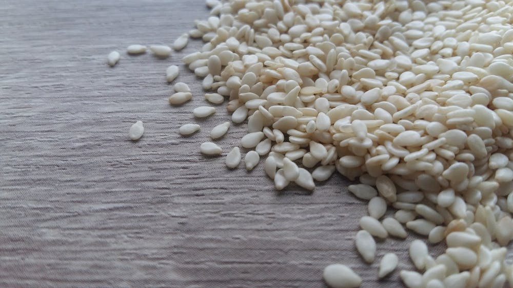 best plant based protein sources