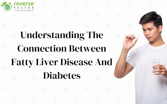 Understanding The Connection Between Fatty Liver Disease And Diabetes
