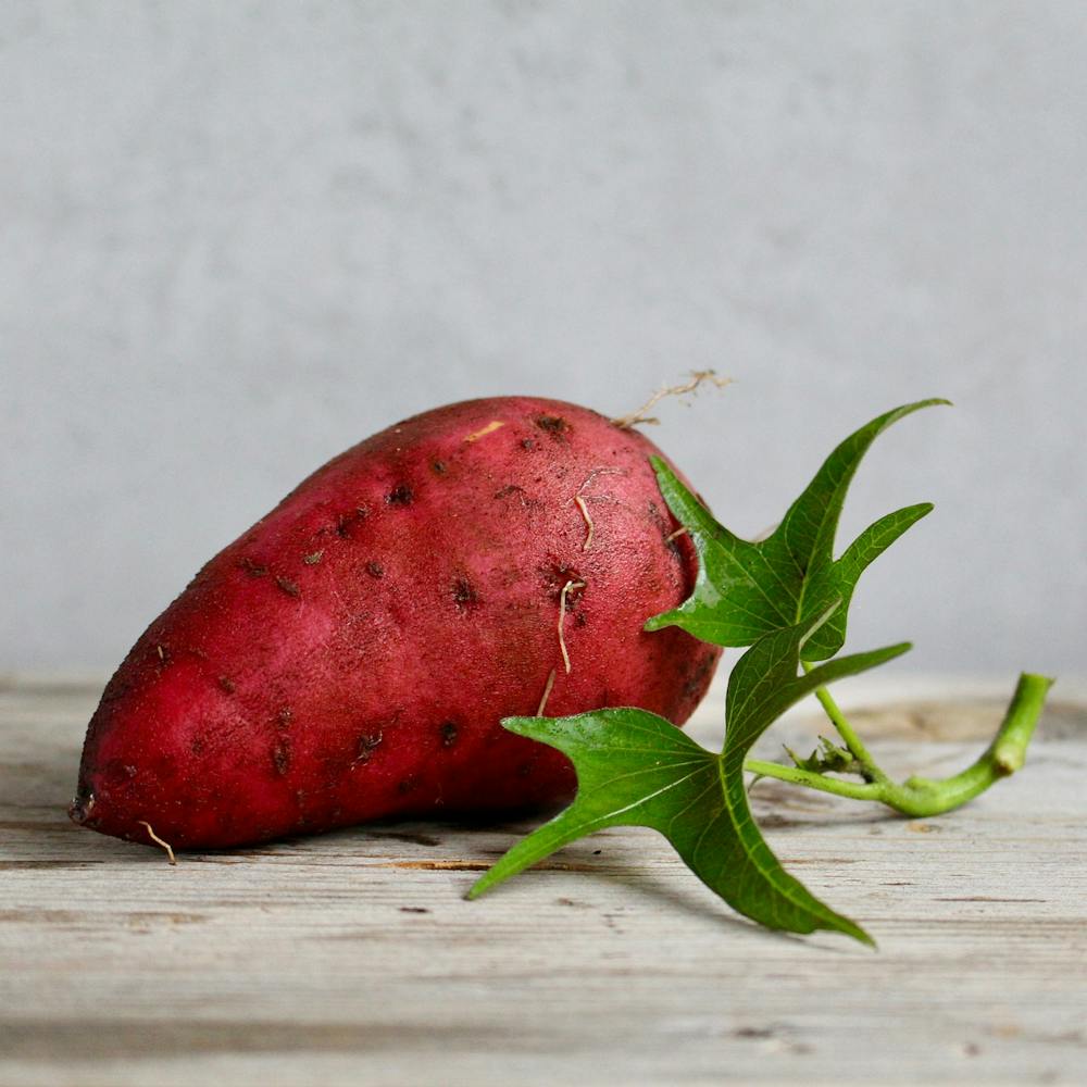 foods for skin and gut health