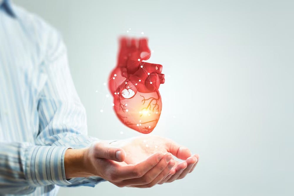 connection between fatty liver and heart disease