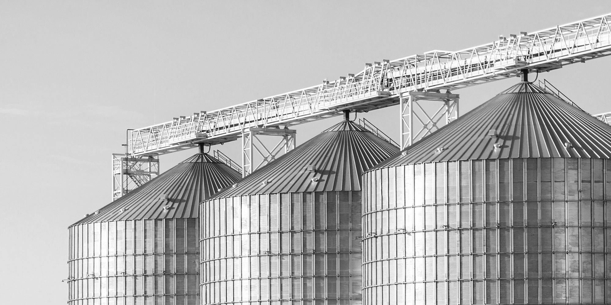Three grain bins in a row