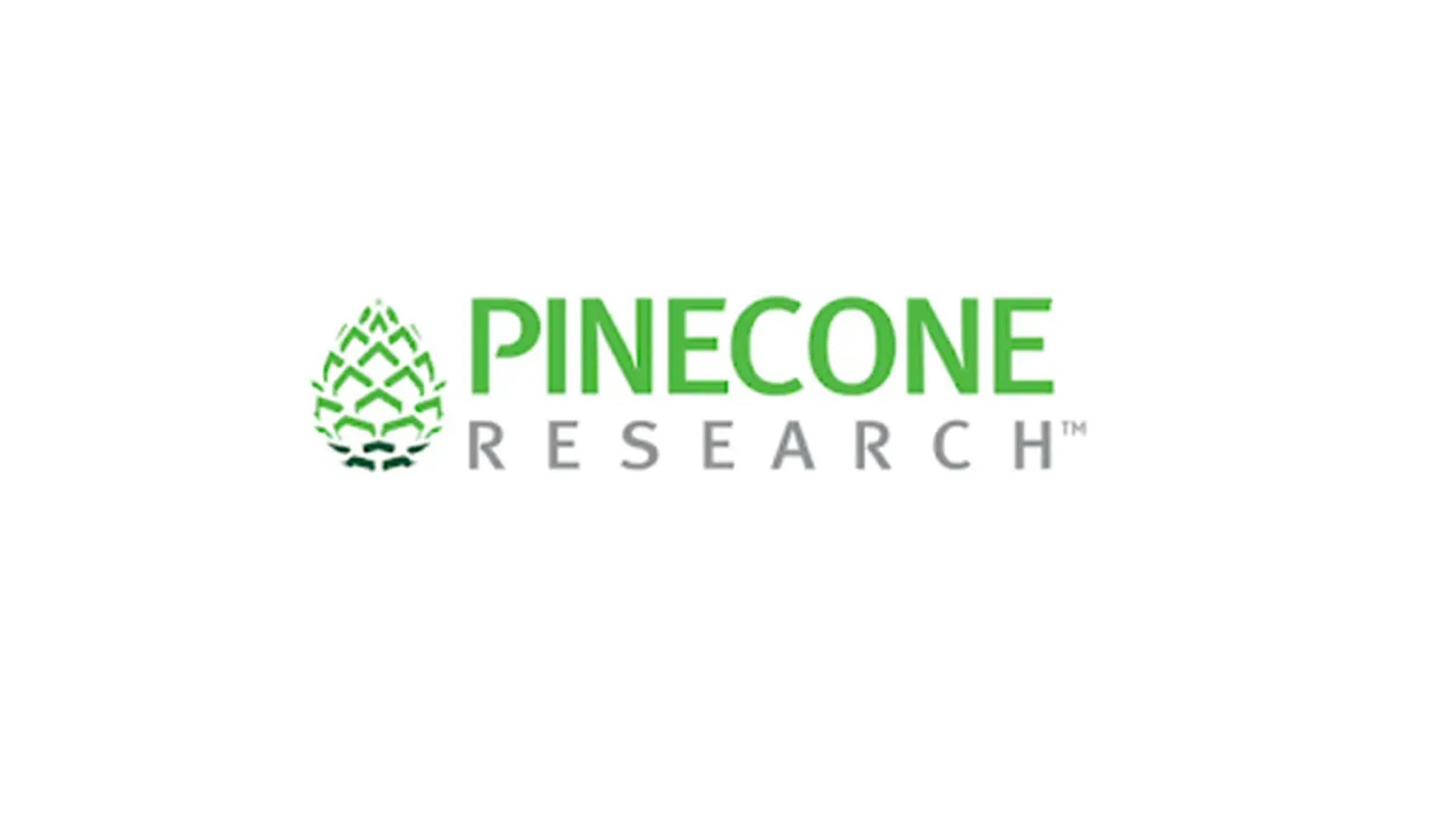 pinecone-research-erfahrungen