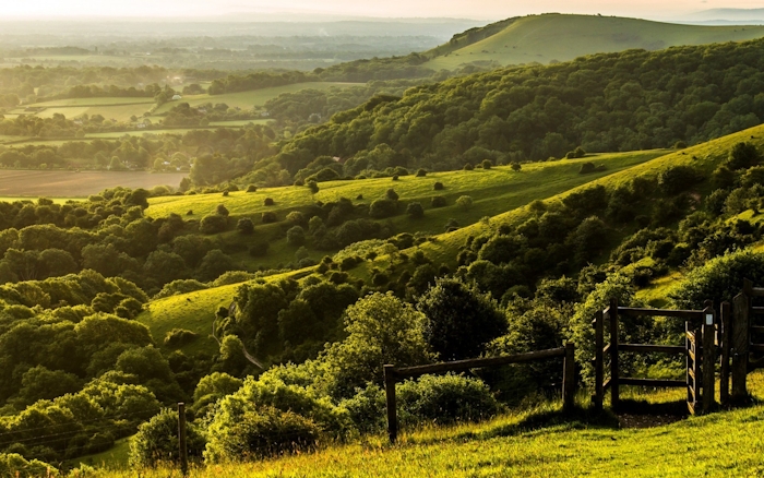 Lush green countryside landscape with rolling hills
