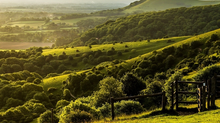 Lush green countryside landscape with rolling hills