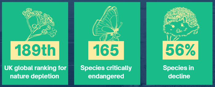 Wilder Carbon social cards