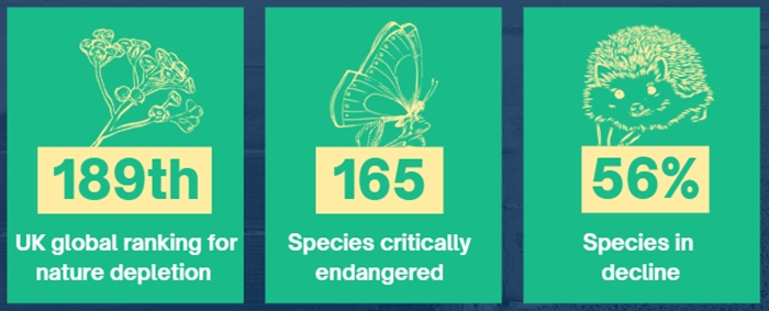 Wilder Carbon social cards