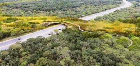 A landbridge spanning a road