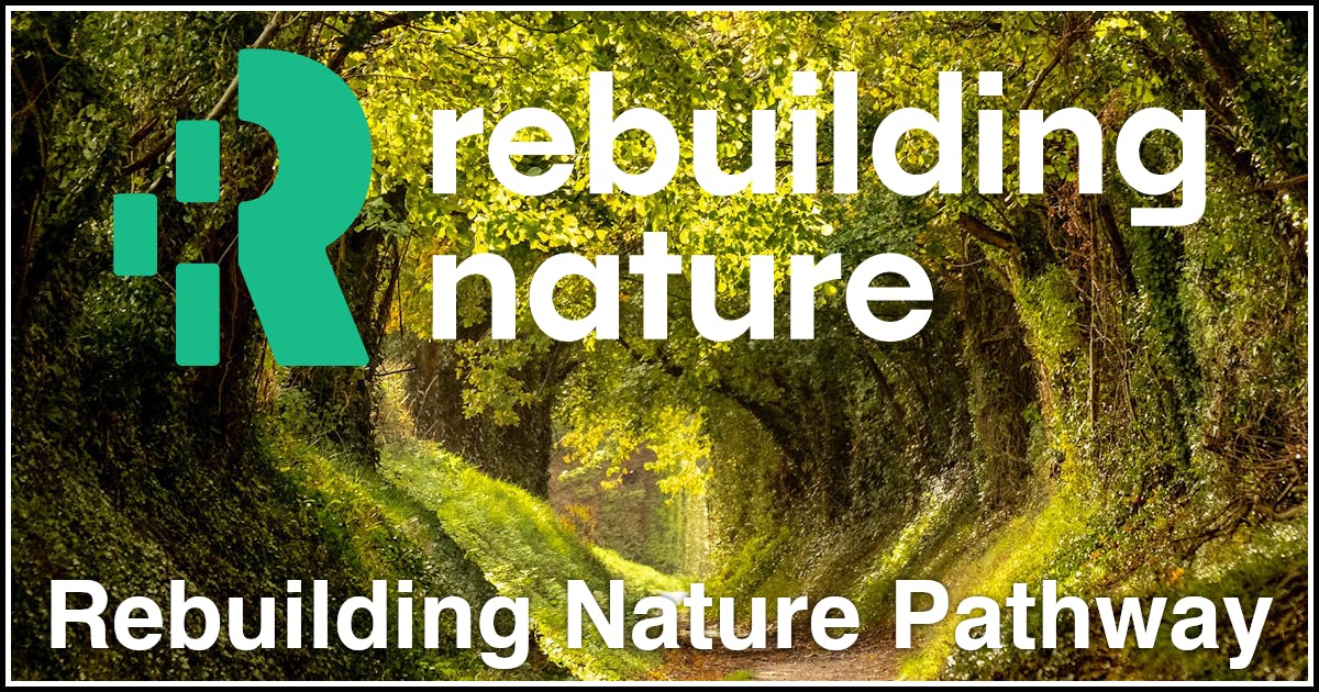 Rebuilding Nature Pathway