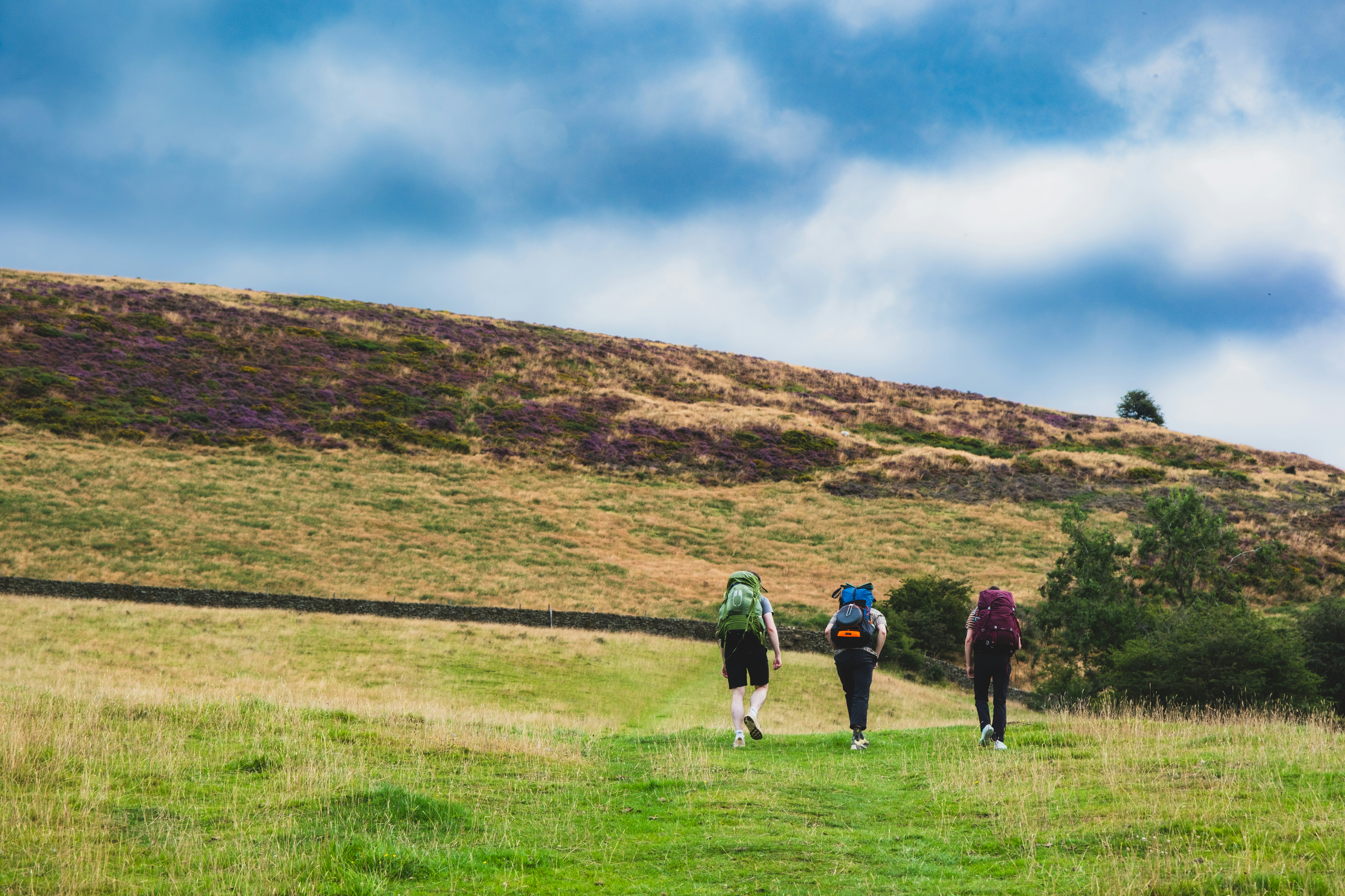 People walking through countryside