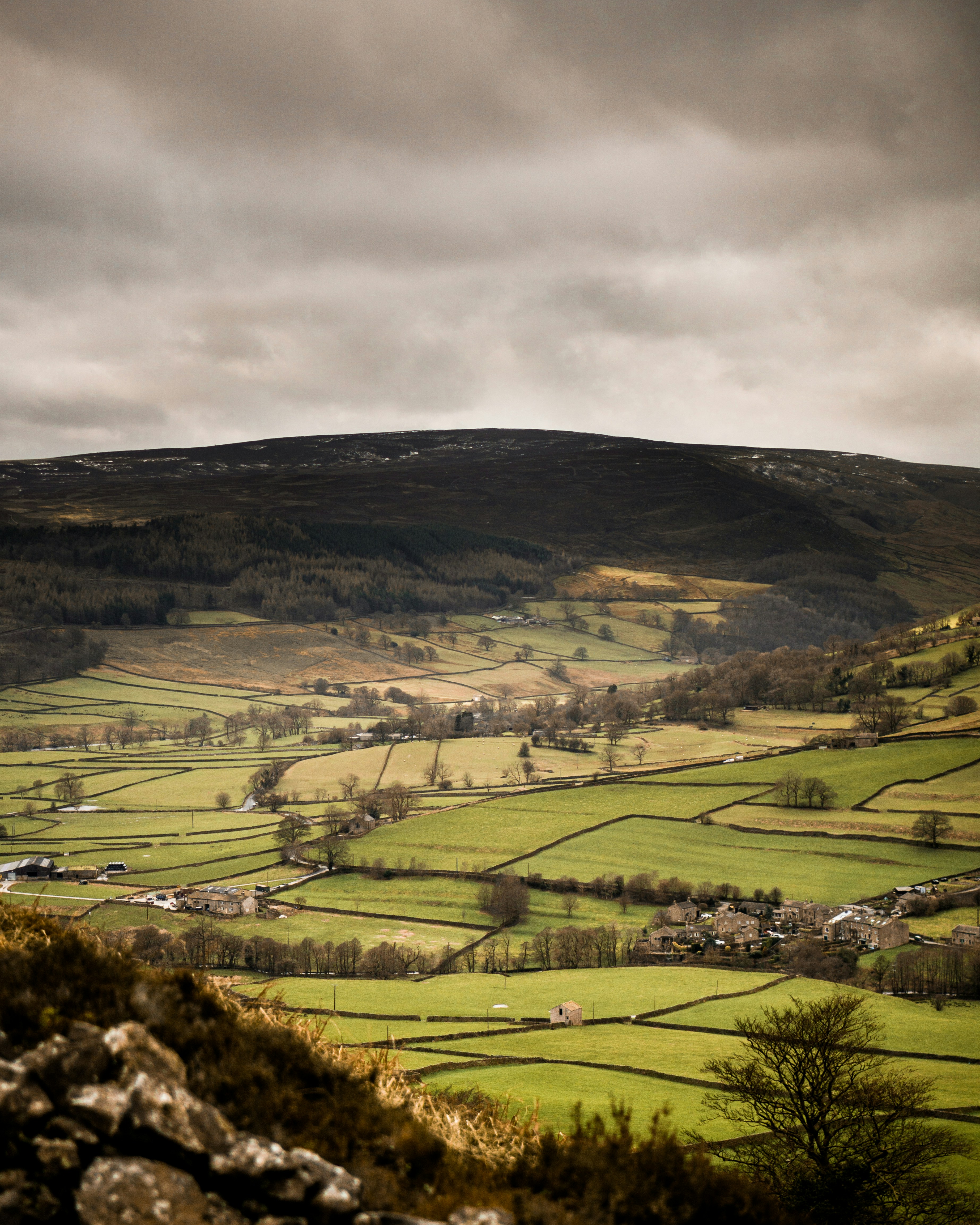 British countryside showing hedgerows with large hill in the background
