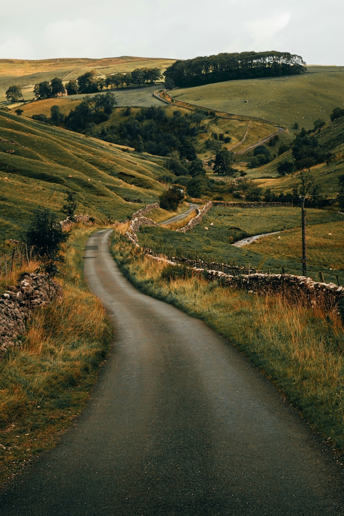 Grazzy valley with winding road and stone wall running next to it.