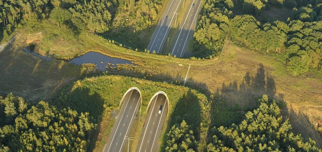 landbridge