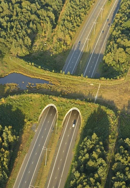land bridge