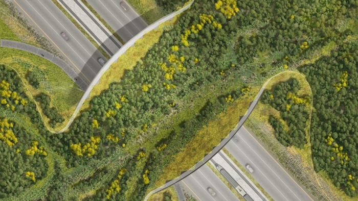 Wildlife overpass/bridge crossing