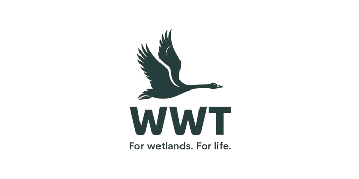 WWT