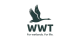WWT
