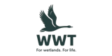 WWT