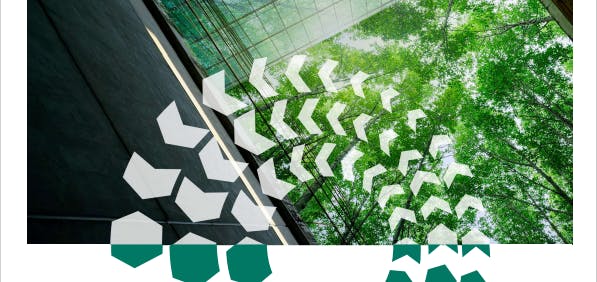 ISEP Natural capital is critical infrastructure