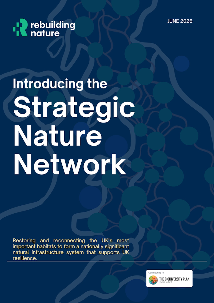 SNN brochure preview