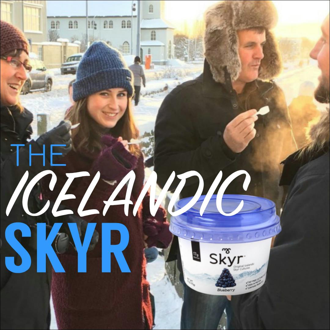WHAT IS SKYR?  Your Friend in Reykjavik