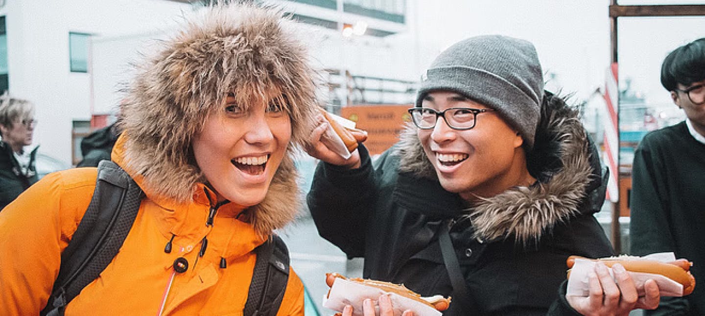 reykjavik food lovers tour