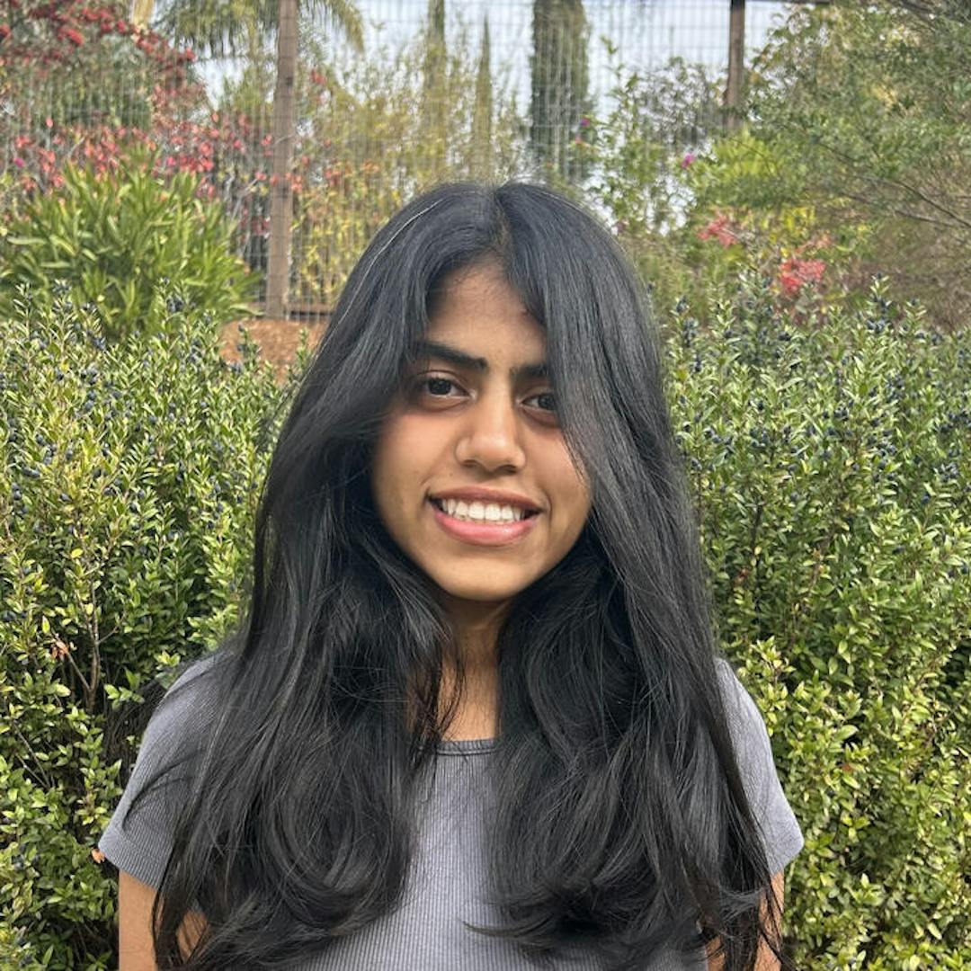 image of srishti