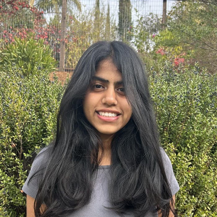 image of srishti