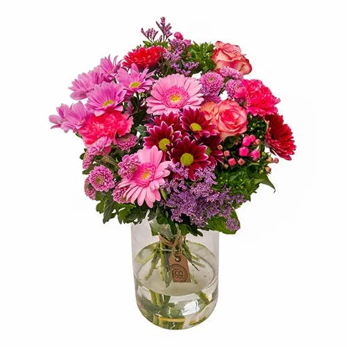 Gerbera pflegen und in der Vase versorgen