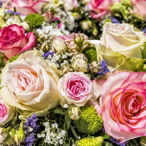 Verschiedene Sorten von Rosen als Schnittblume