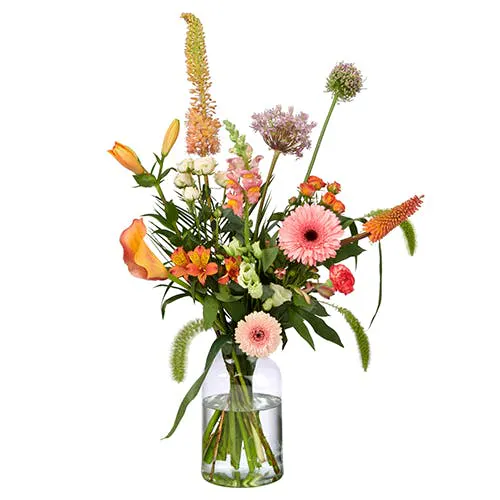 Gerbera als Schnittblume lange frisch halten