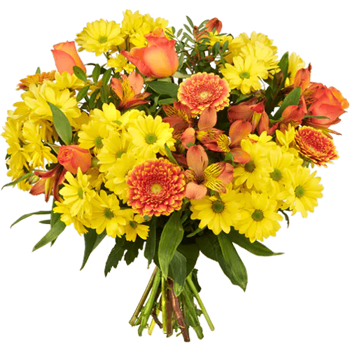 Strauß mit frischen Gerbera