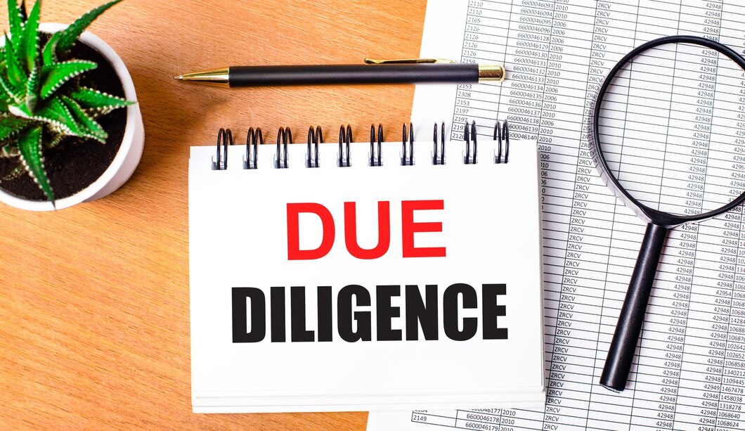 Due Diligence Service
