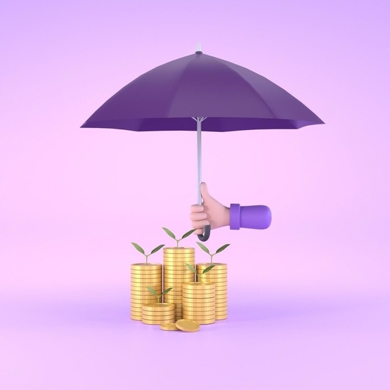 Damages and destruction audit service