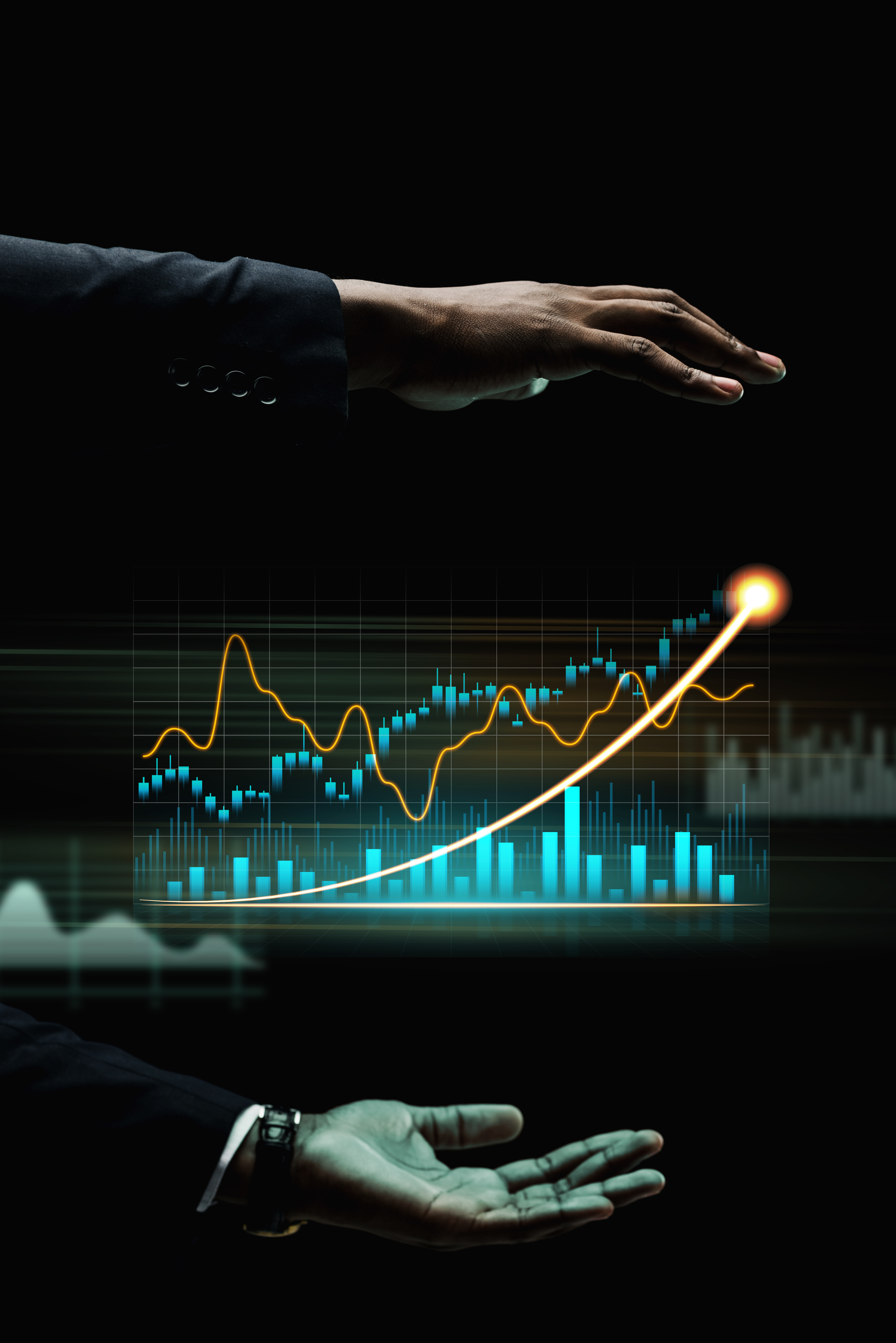 Leading CA Firm for Financial Success