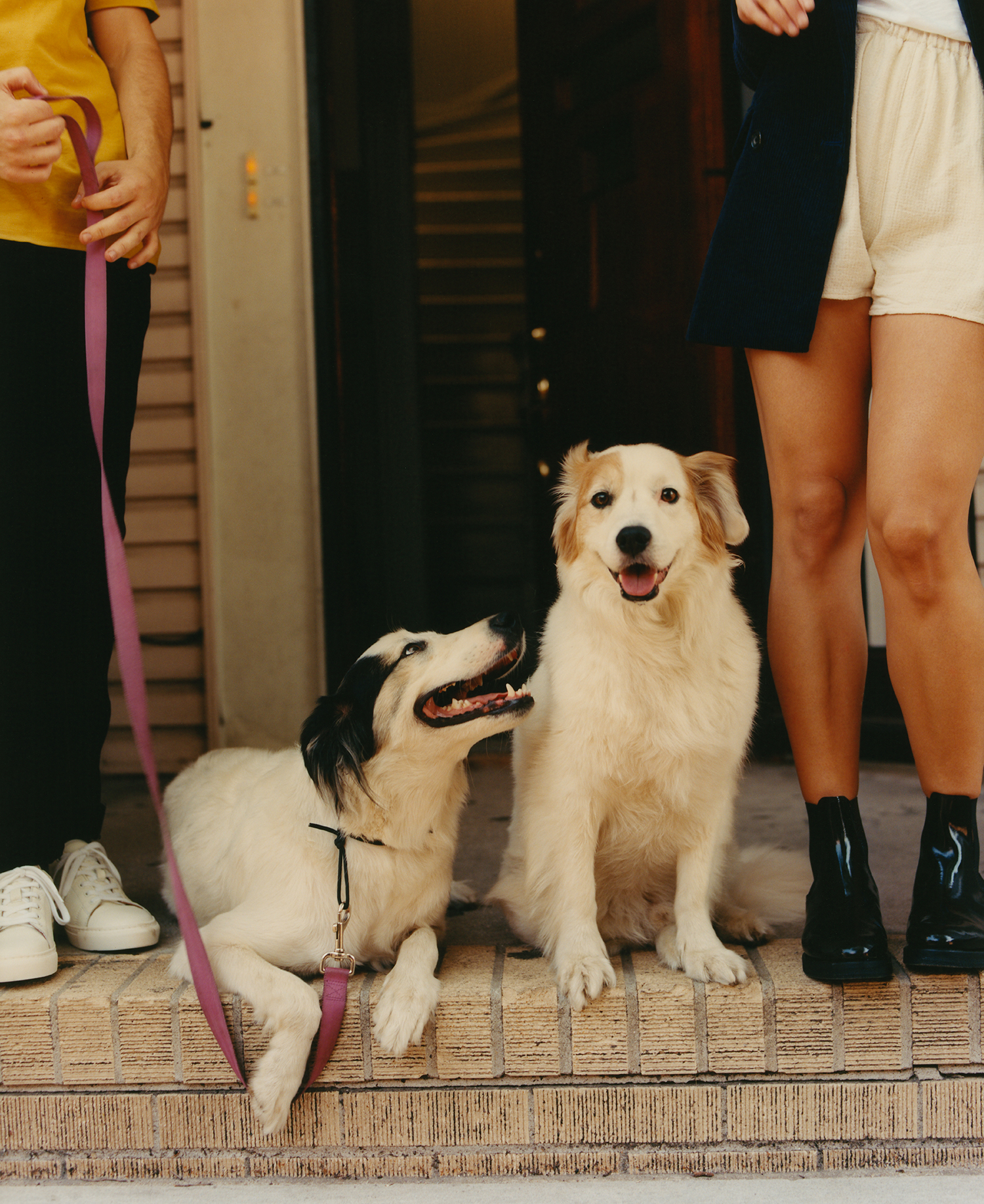 Rhys Frampton fashion photographer 