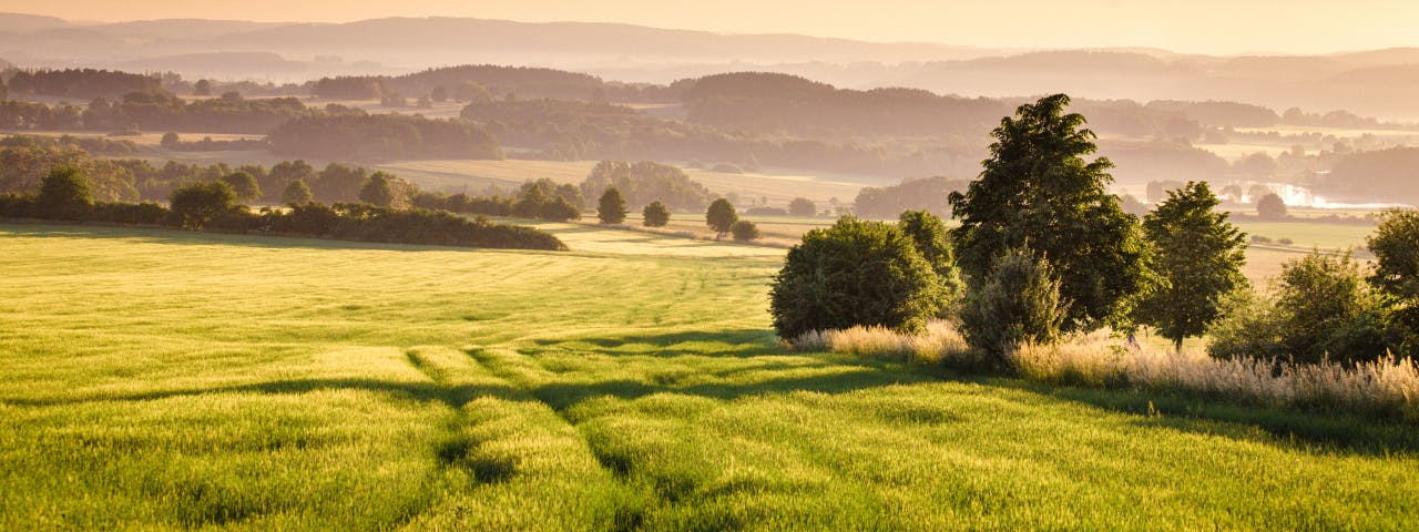 Mediterranean landscape with prairies and buffer. 