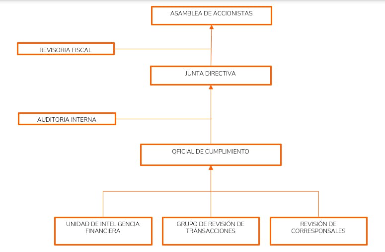 organigrama