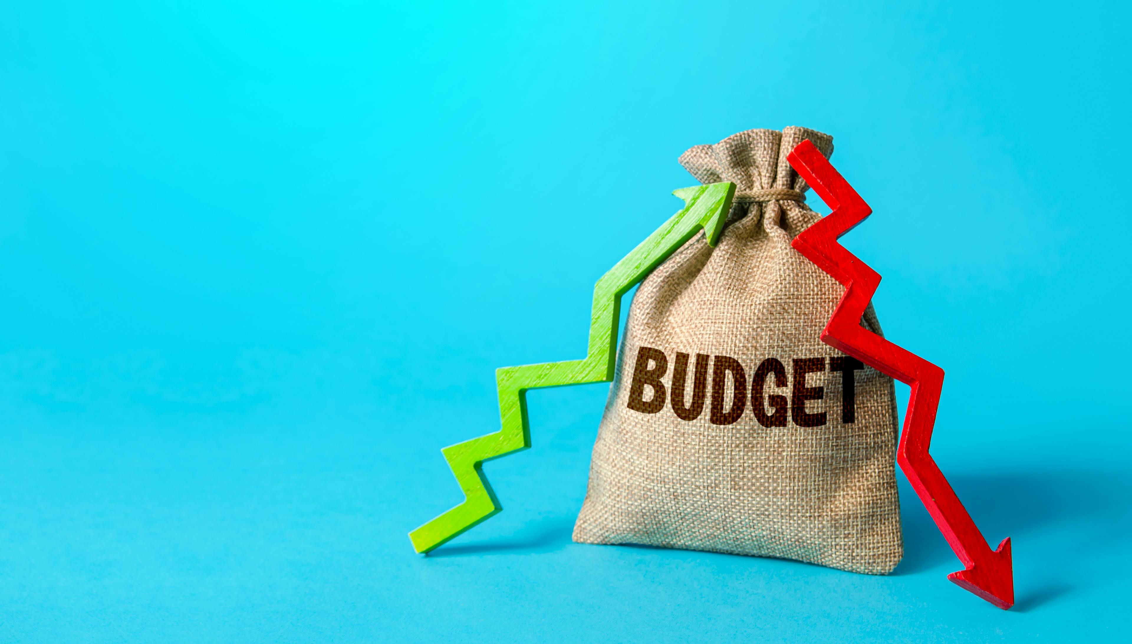 A sack with budget written on it with a green arrow pointing up and a red arrow pointing down.